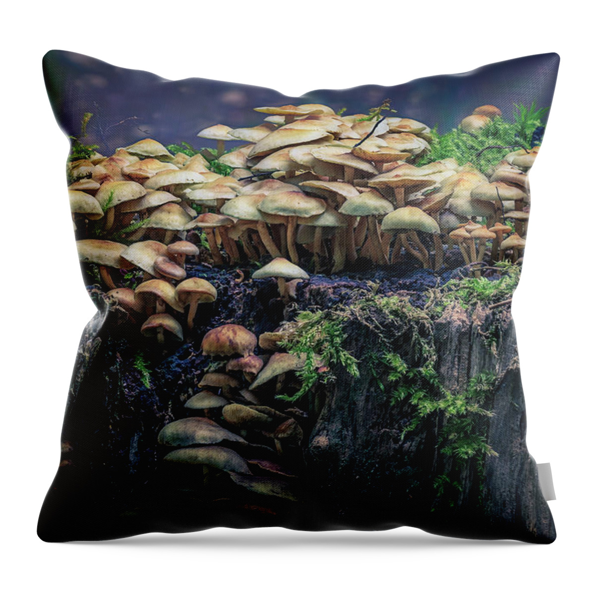 Autumn Throw Pillow featuring the photograph Magical Mushrooms by Tim Abeln