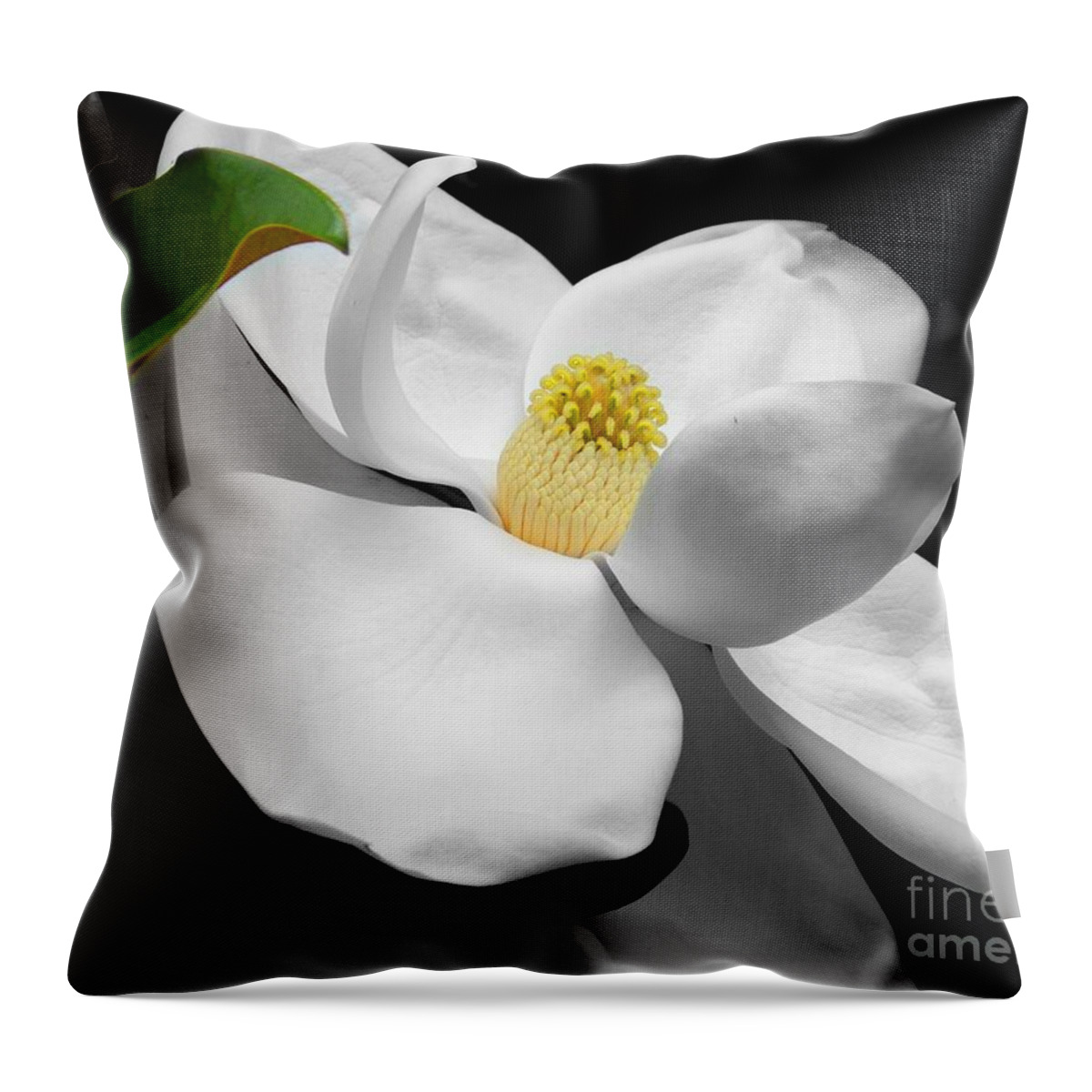 Magnolia Throw Pillow featuring the photograph Magnolia Blossom by Jai Johnson