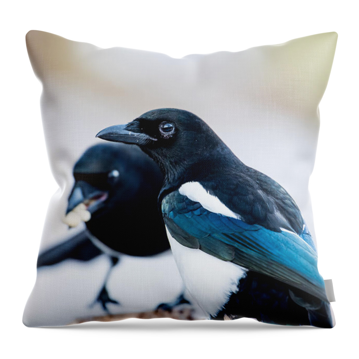 Pica Pica Throw Pillow featuring the photograph Magpies and the peanuts by Torbjorn Swenelius