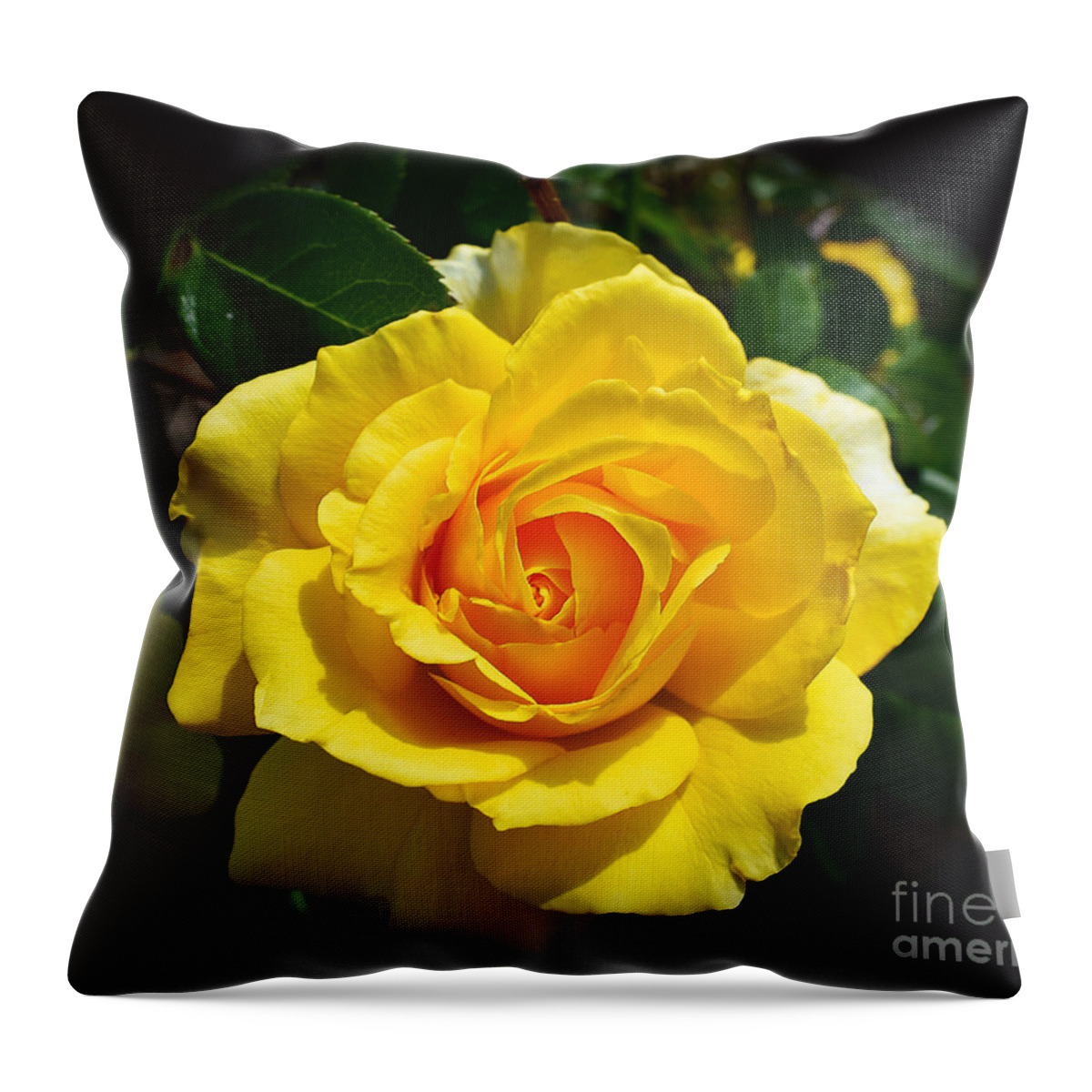 Nature Throw Pillow featuring the photograph Make My Rose Yellow Please by DB Hayes