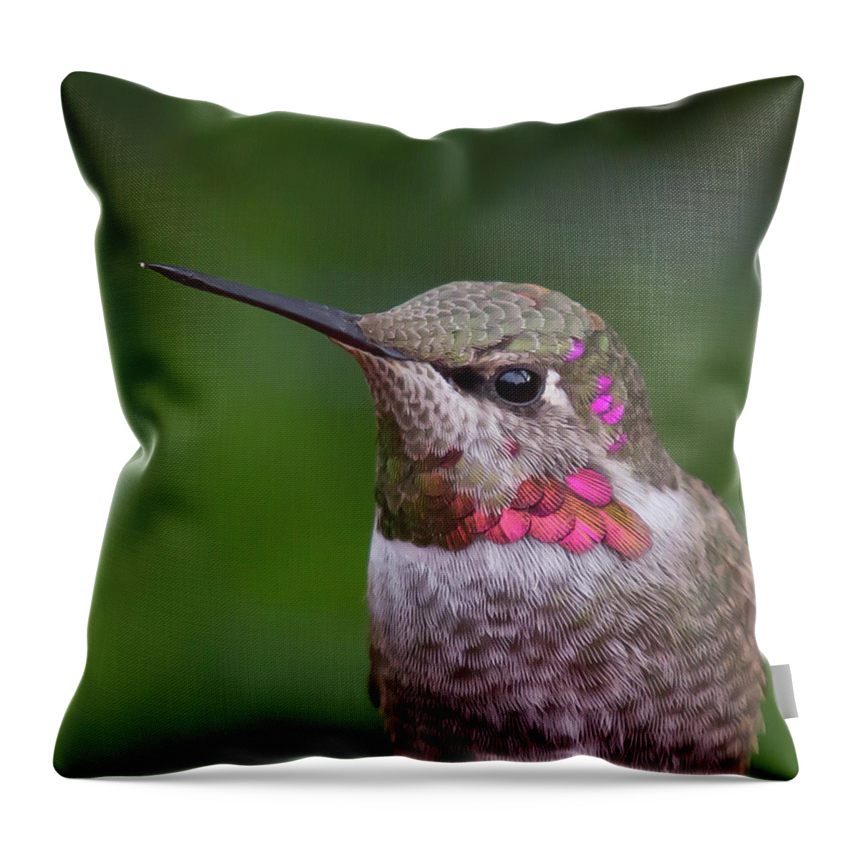Bird Throw Pillow featuring the photograph Male Annas Hummingbird by Briand Sanderson