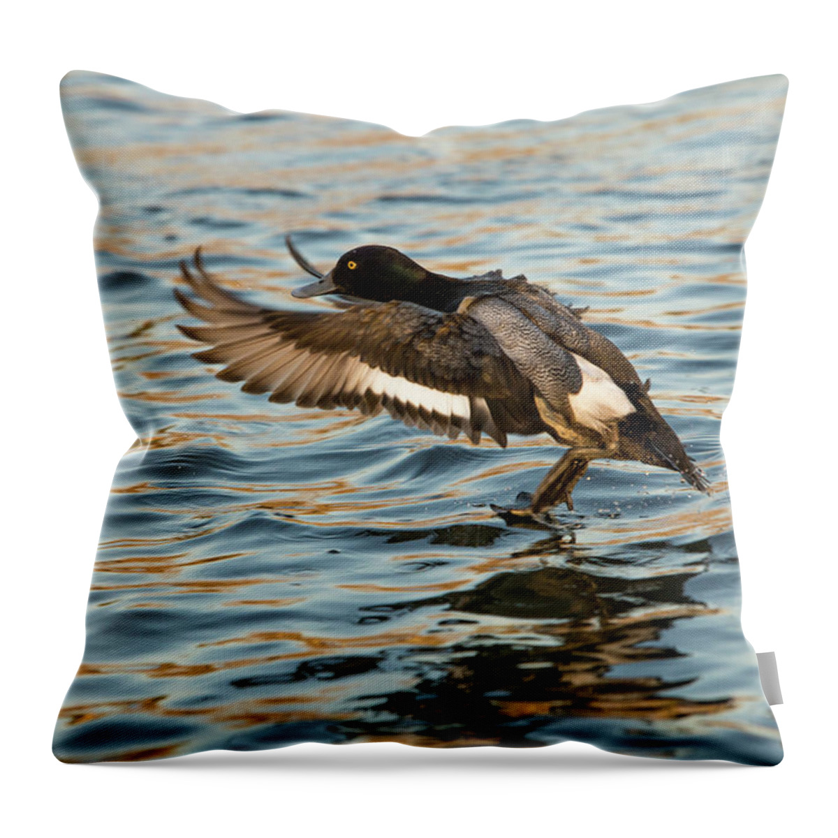 Duck Throw Pillow featuring the photograph Mallard landing by Jason Hughes
