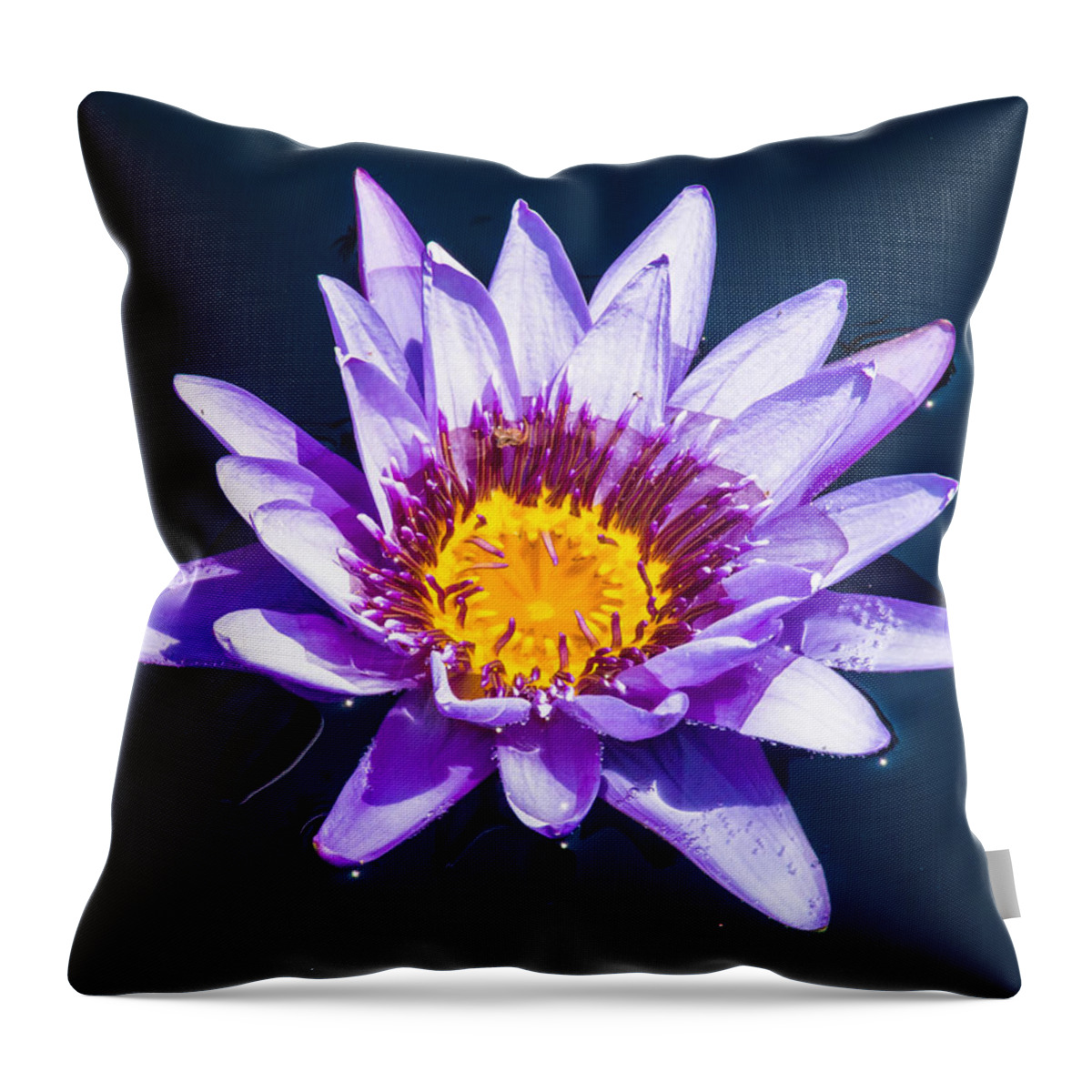 Water Lilly Throw Pillow featuring the photograph Surounded by Charles McCleanon