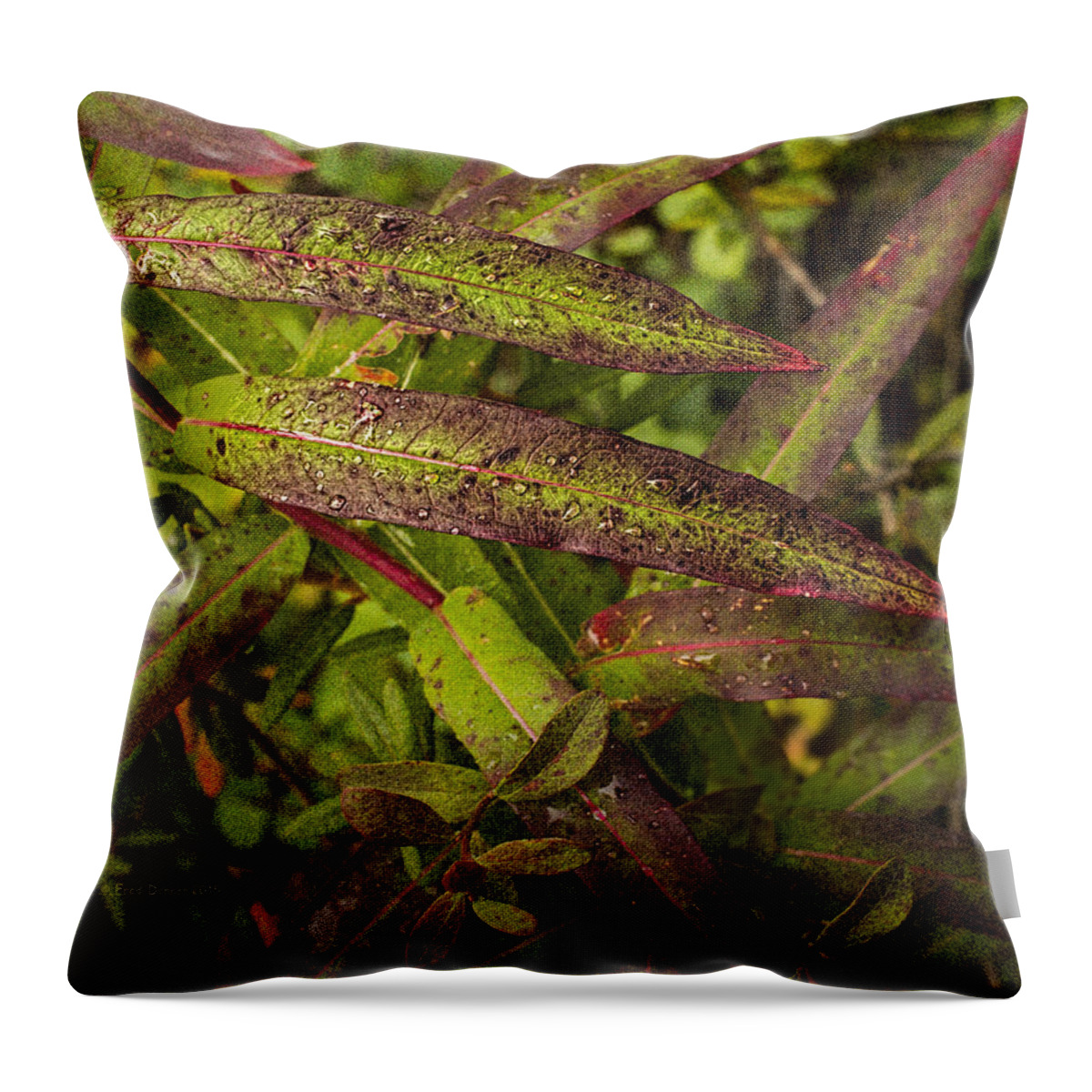 Wildflower Throw Pillow featuring the photograph Many Colors of Fall Fireweed by Fred Denner