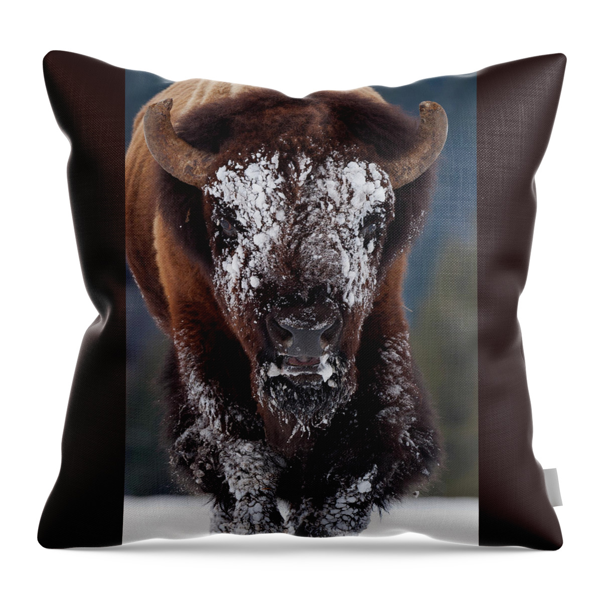 Mark Miller Photos Throw Pillow featuring the photograph Masked Bison II by Mark Miller