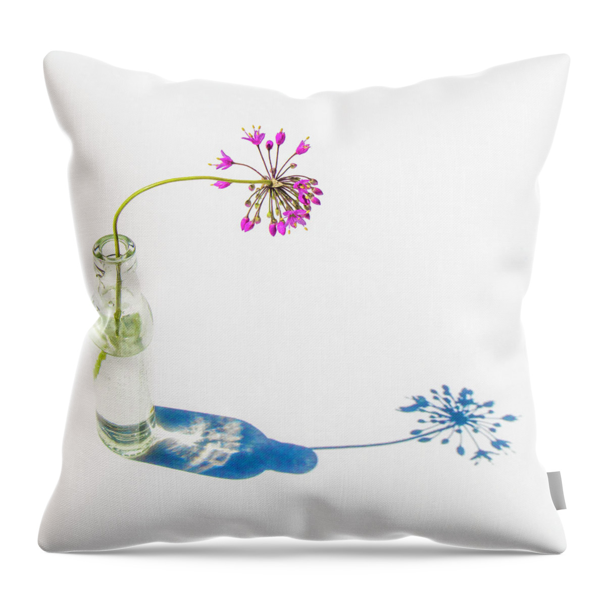 White Throw Pillow featuring the photograph Me and My Shadow by Holly Ross