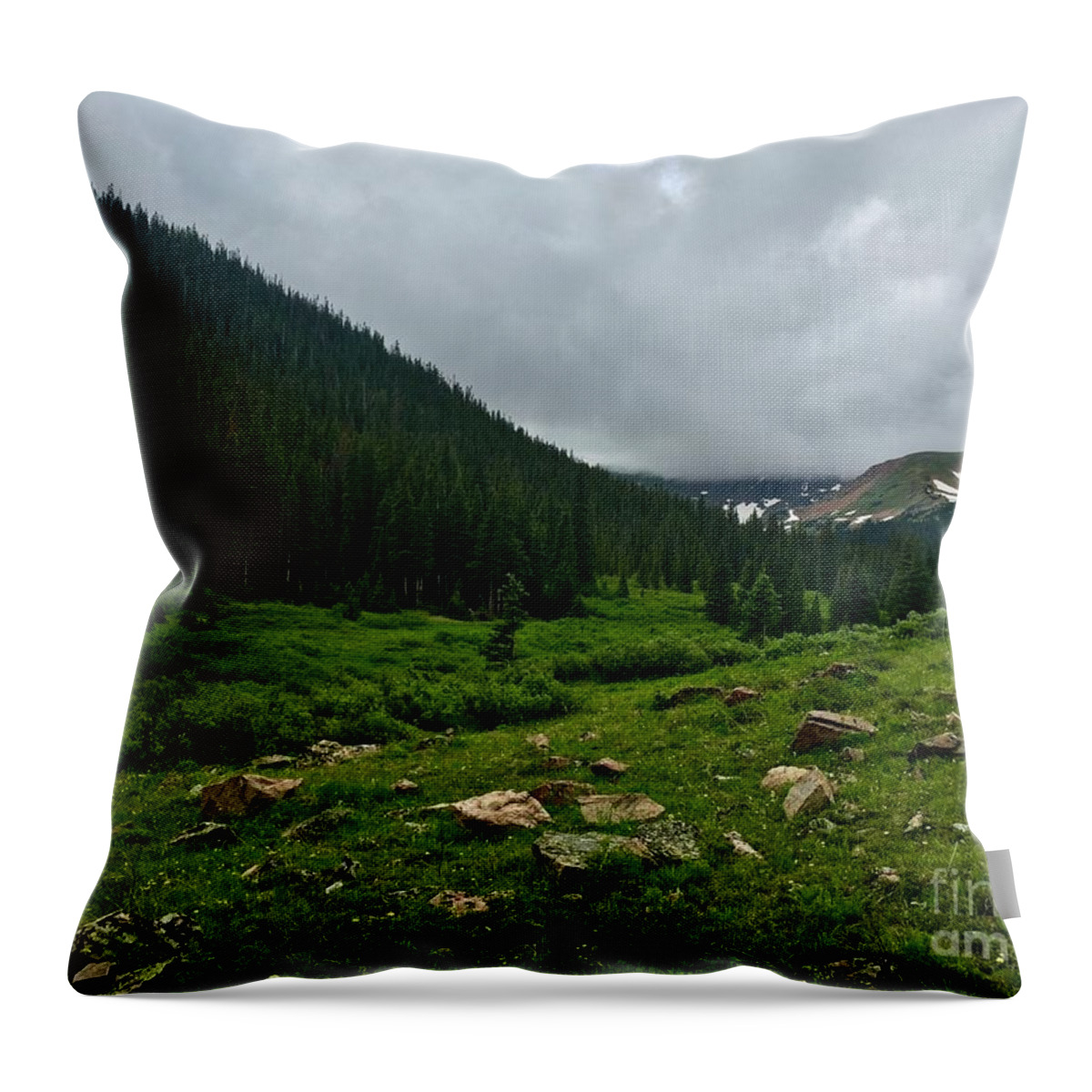Mountain Throw Pillow featuring the photograph Meadow by Dennis Richardson