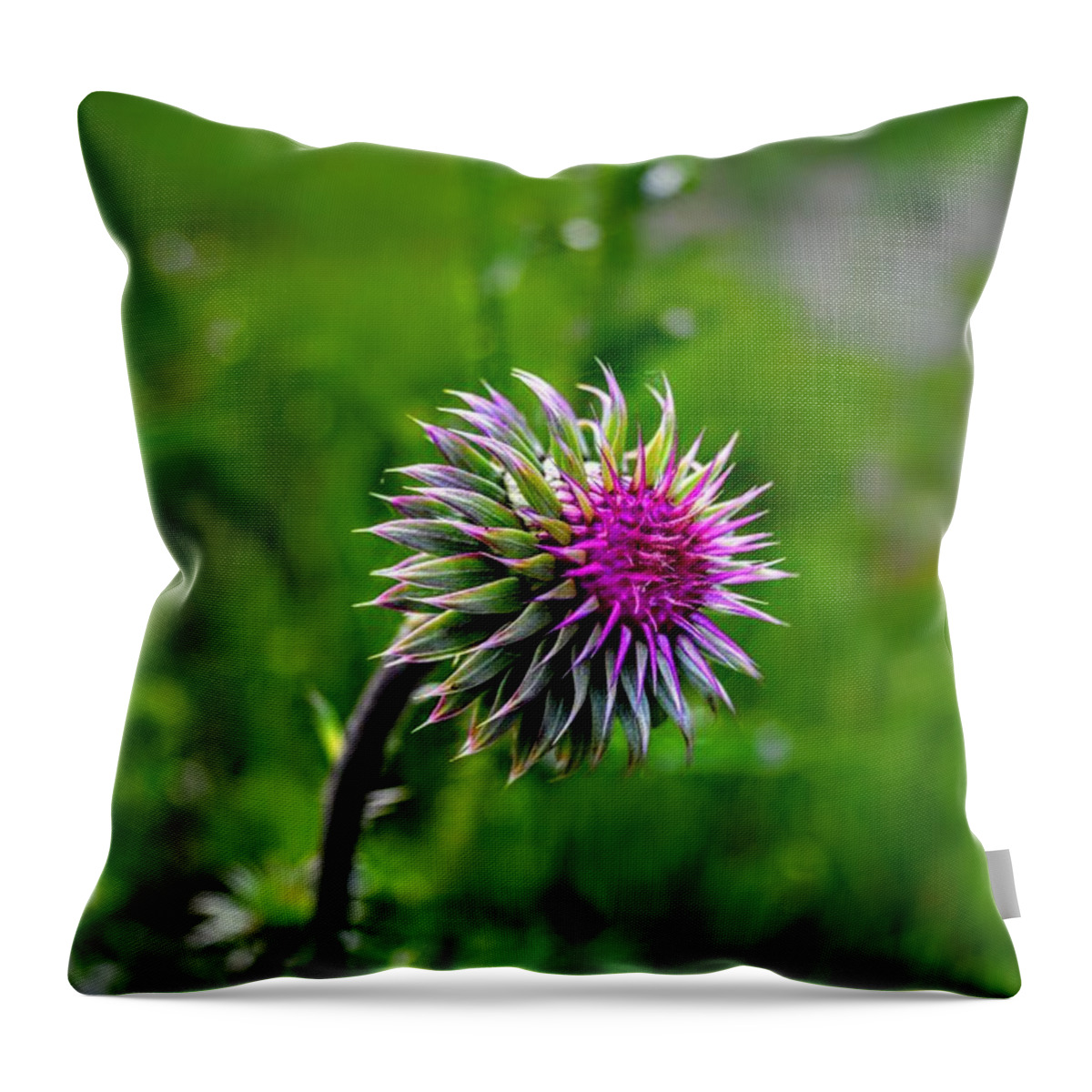 Thistle Throw Pillow featuring the photograph Meadow Majesty by Michael Brungardt