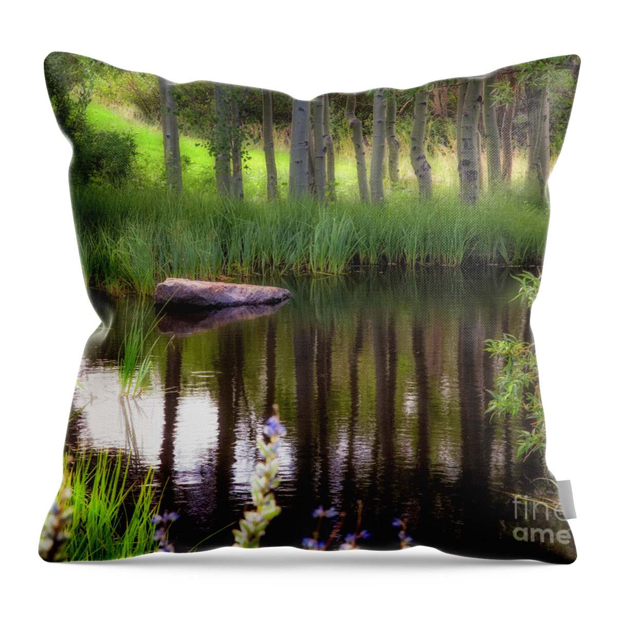 Meadow Throw Pillow featuring the photograph Meadow Pond by Anthony Michael Bonafede