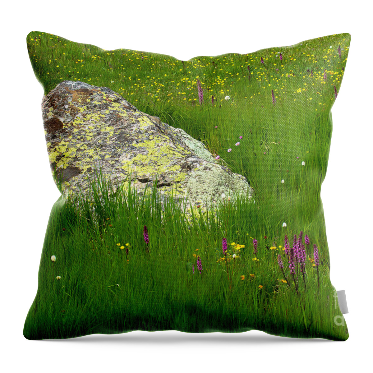 Mountain Wildflowers; Mountain Flowers Throw Pillow featuring the photograph Meadow Rock by Jim Garrison