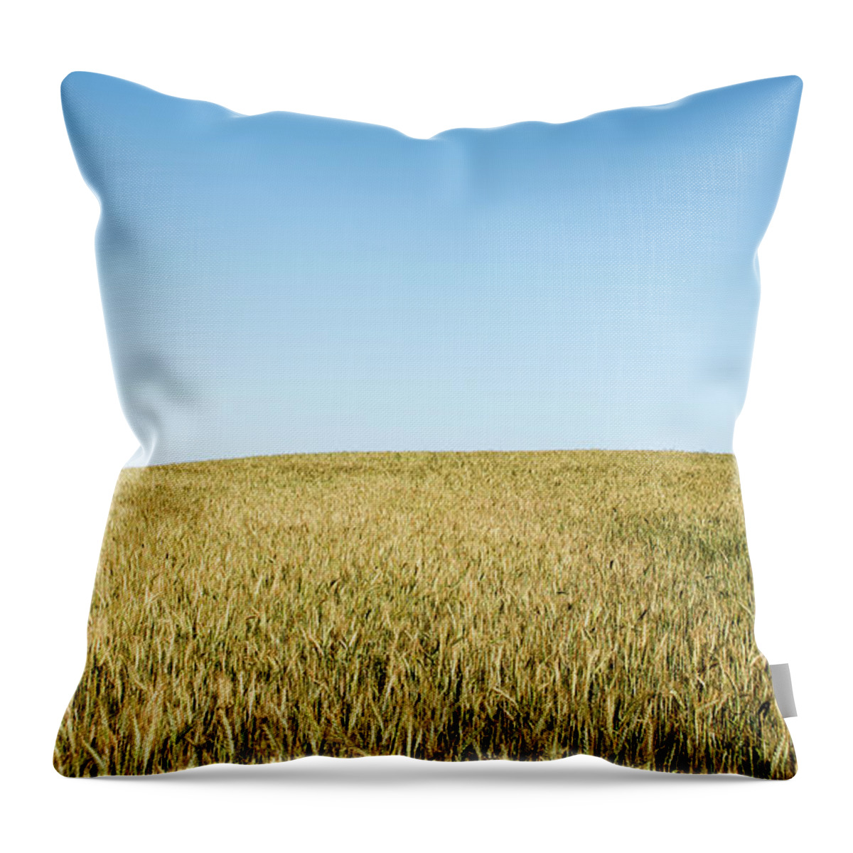 Nature Landscape Throw Pillow featuring the photograph Nature landscape background by Michalakis Ppalis