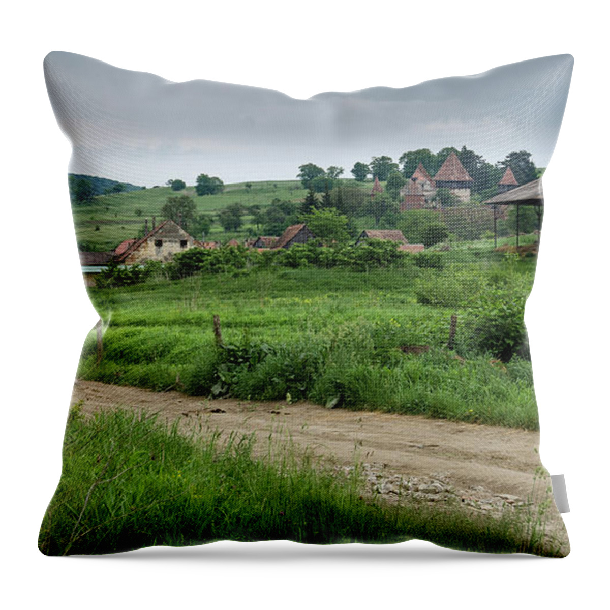 Barn Throw Pillow featuring the photograph Medieval Village, Transylvania by Perry Rodriguez