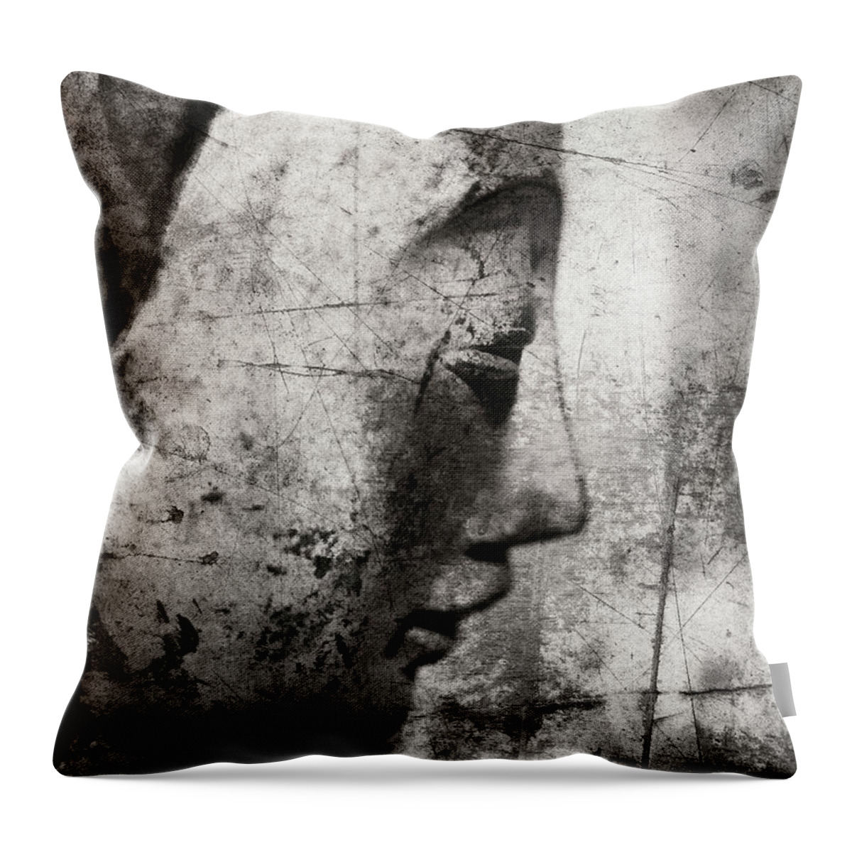Meditation Throw Pillow featuring the photograph Meditation by Carol Leigh