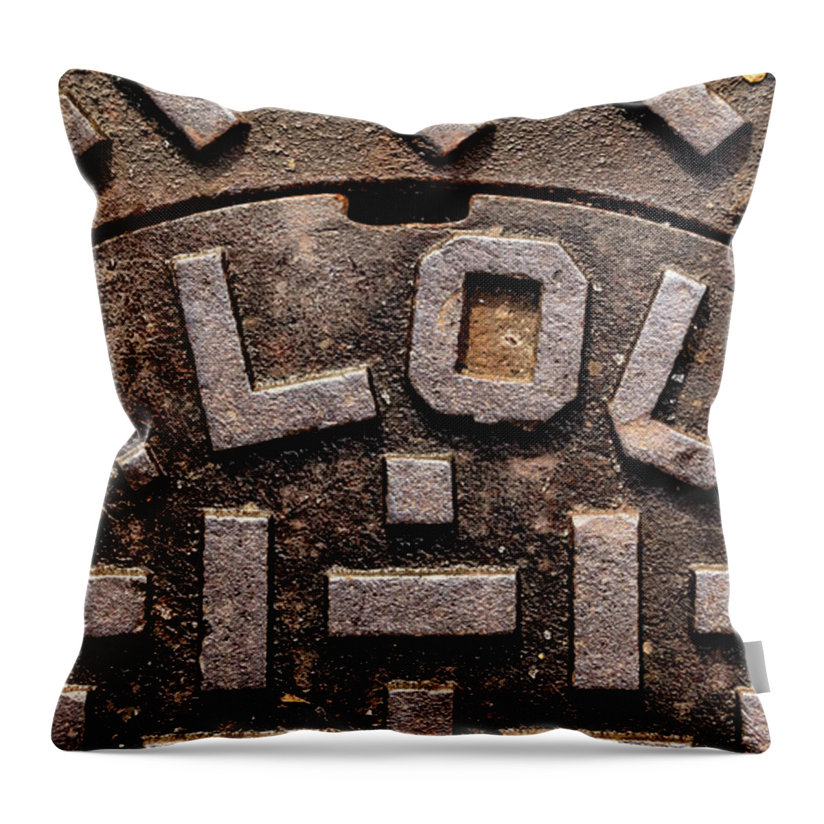 St. Louis Throw Pillow featuring the photograph Meet Me in St. Louis by Holly Ross