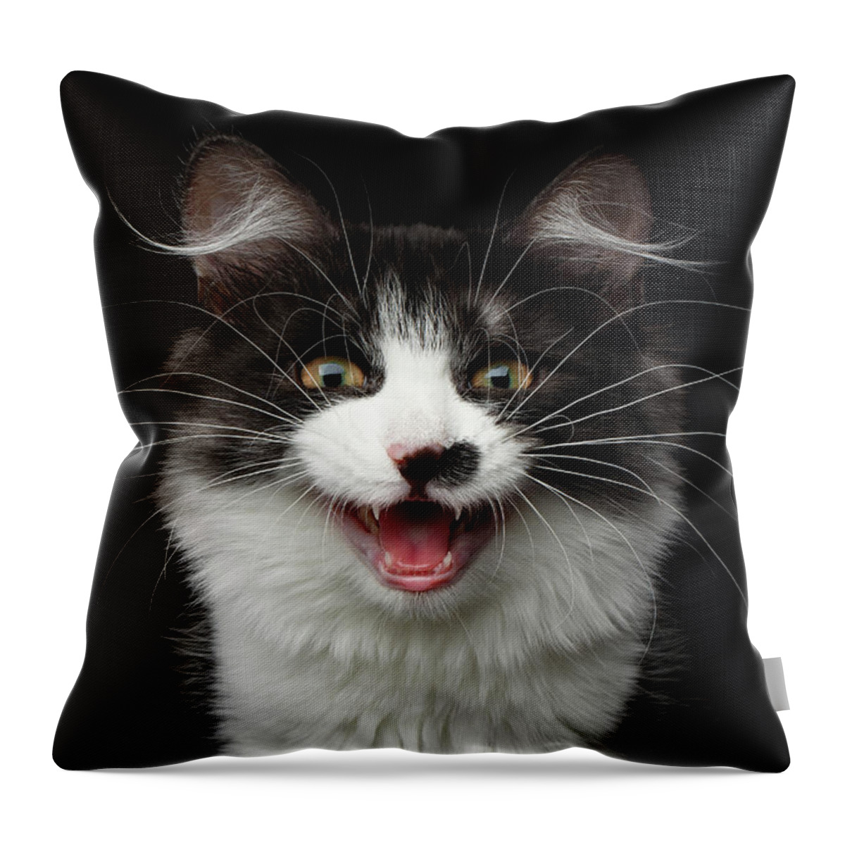 Cat Throw Pillow featuring the photograph Meow of Siberian Kitten by Sergey Taran