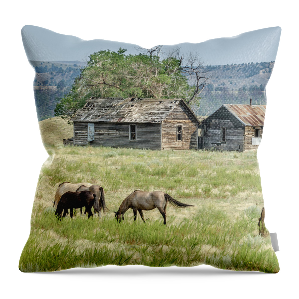 Horses Throw Pillow featuring the photograph Mexican Mustangs by Jaime Mercado