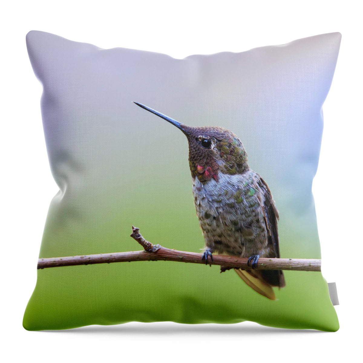 Bird Throw Pillow featuring the photograph Midsummer Night's Dream II by Briand Sanderson