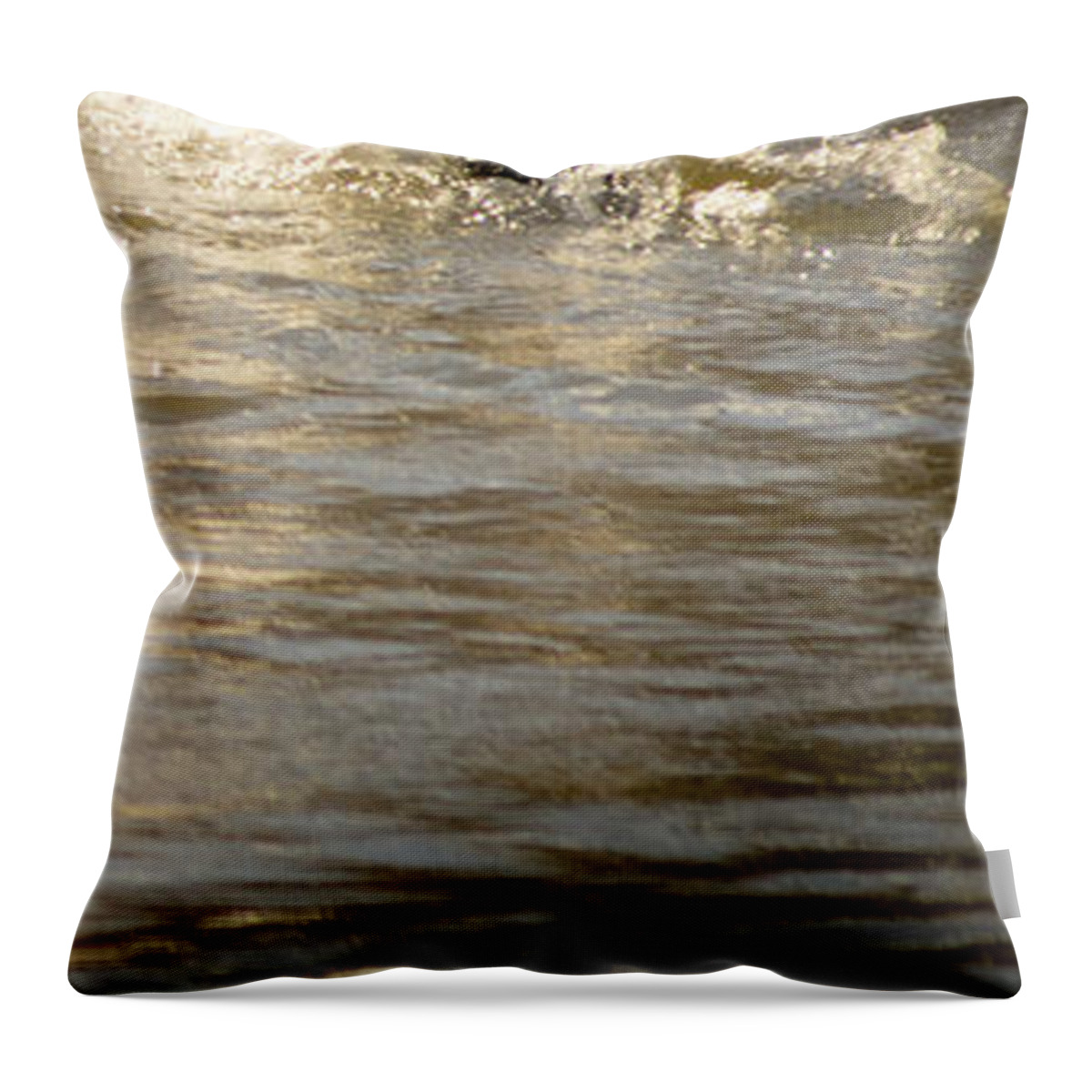 Lwater Throw Pillow featuring the photograph Minden 4 by Catherine Sobredo