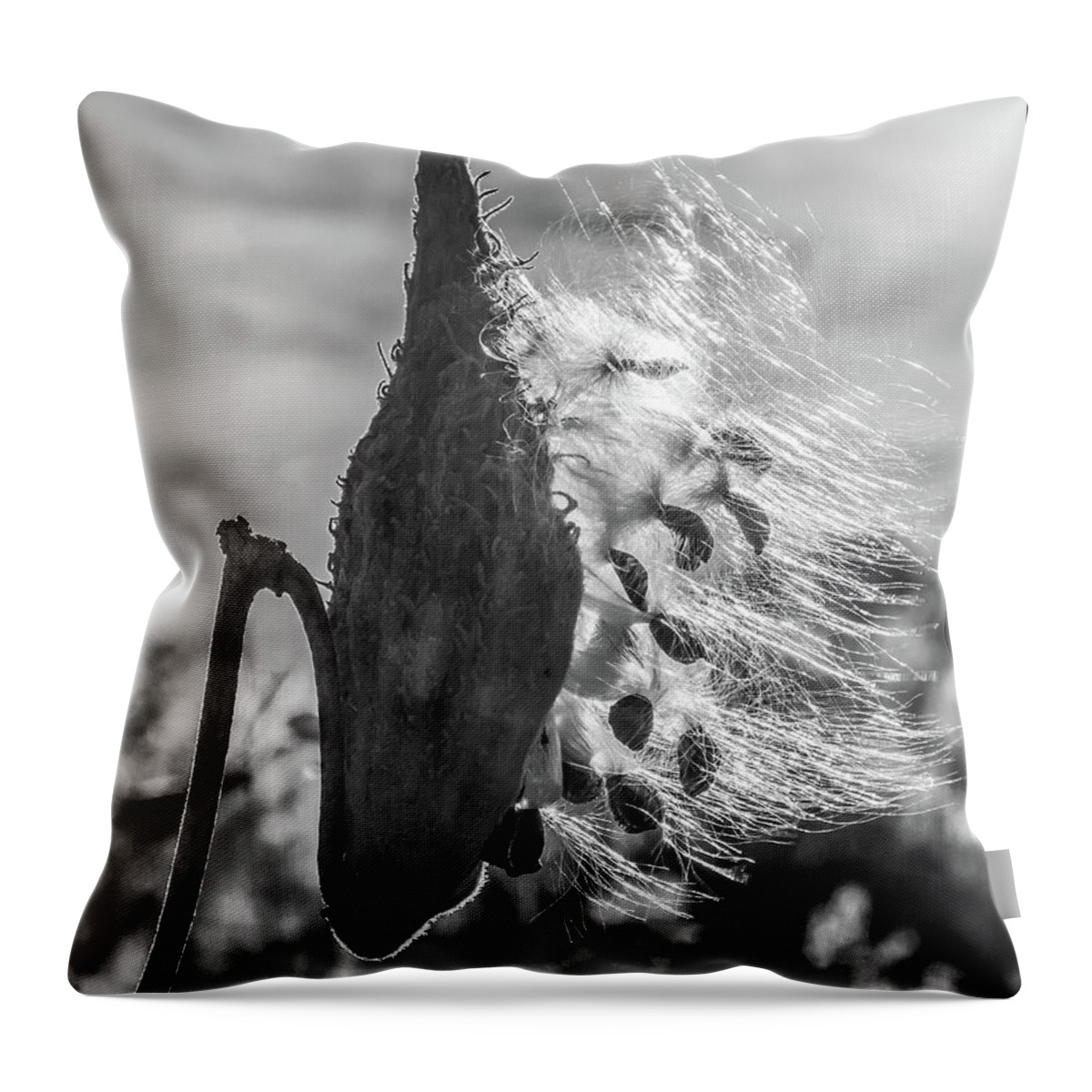 Milkweed Throw Pillow featuring the photograph Milkweed Pod Back Lit B and W by Lon Dittrick