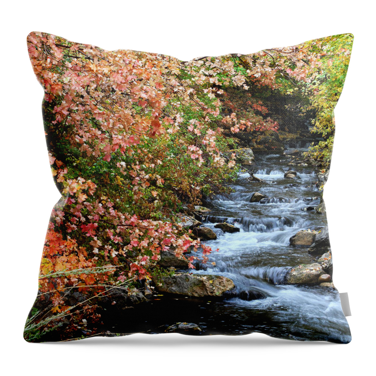 Autumn Throw Pillow featuring the photograph Millcreek in Fall by Brett Pelletier