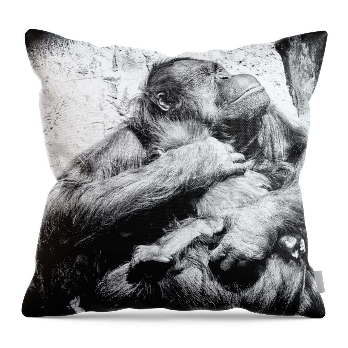 Crystal Yingling Throw Pillow featuring the photograph Mine All Mine by Ghostwinds Photography