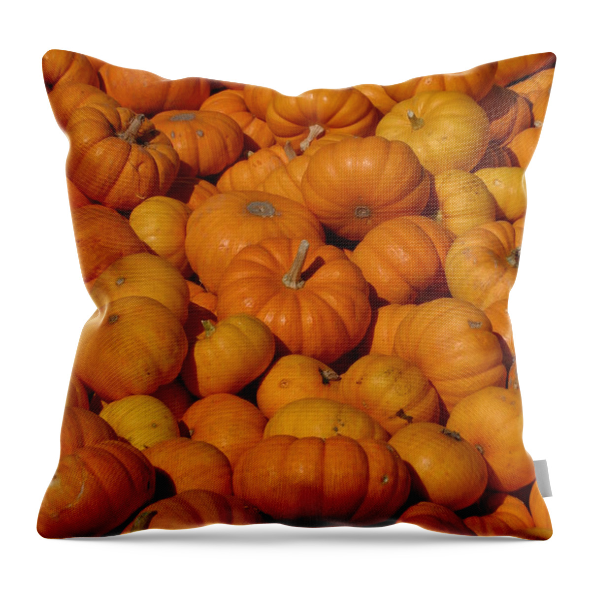 Orange Throw Pillow featuring the photograph Mini Pumpkins by Jeff Floyd