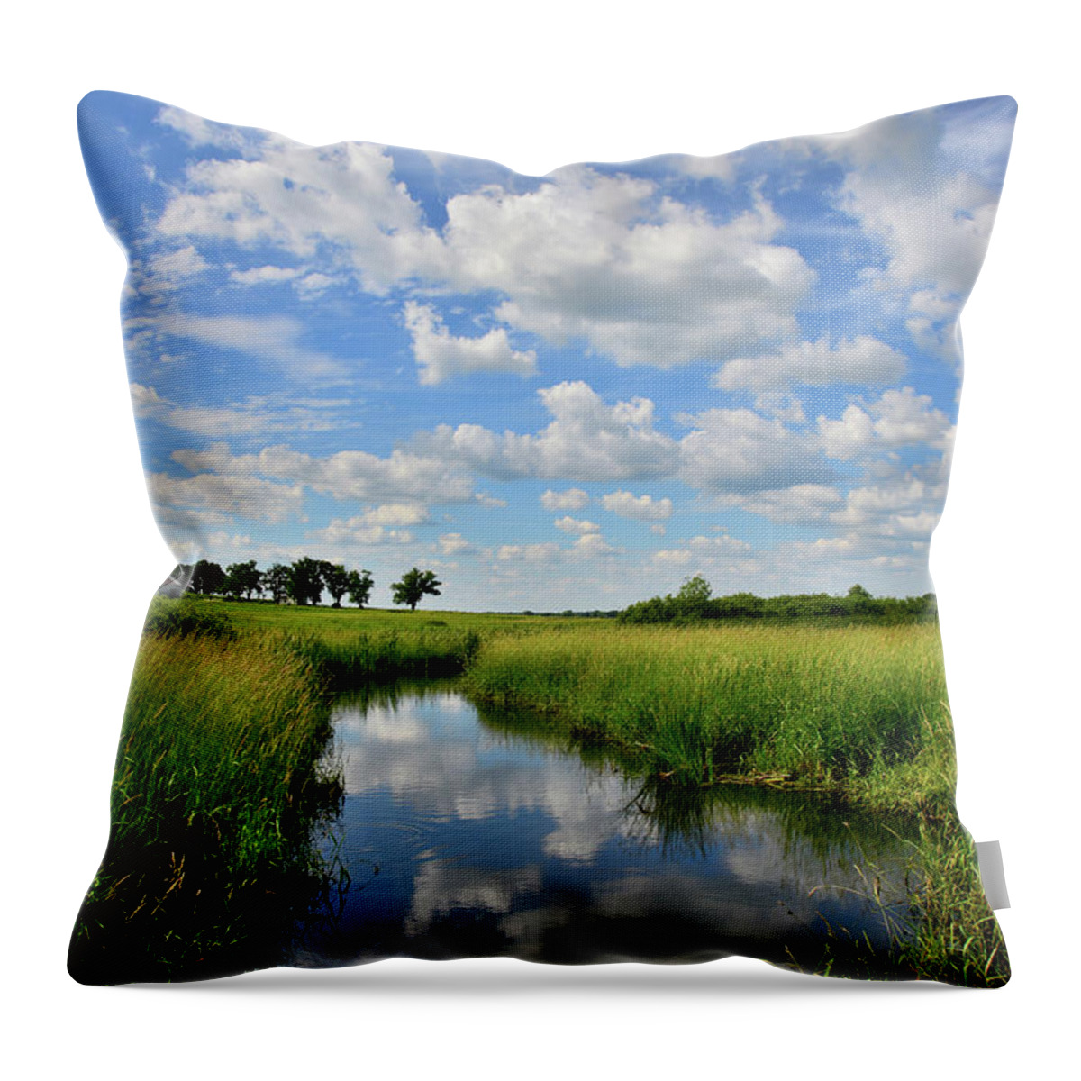 Glacial Park Throw Pillow featuring the photograph Mirror Image of Clouds in Glacial Park Wetland by Ray Mathis