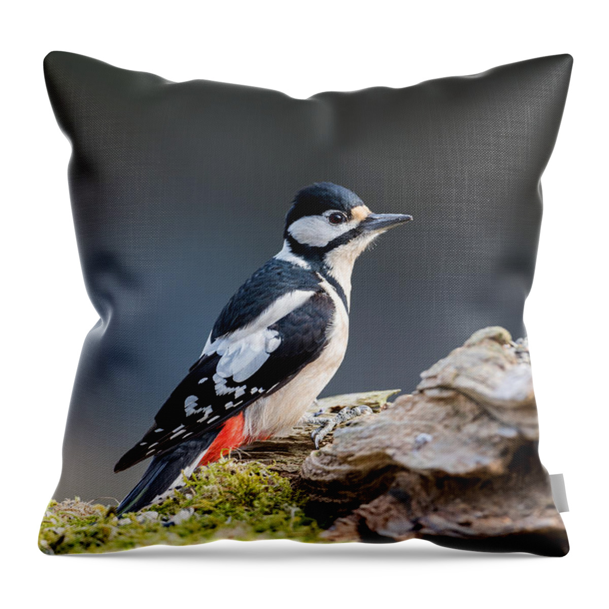 Miss Woodpecker Throw Pillow featuring the photograph Miss Woodpecker by Torbjorn Swenelius