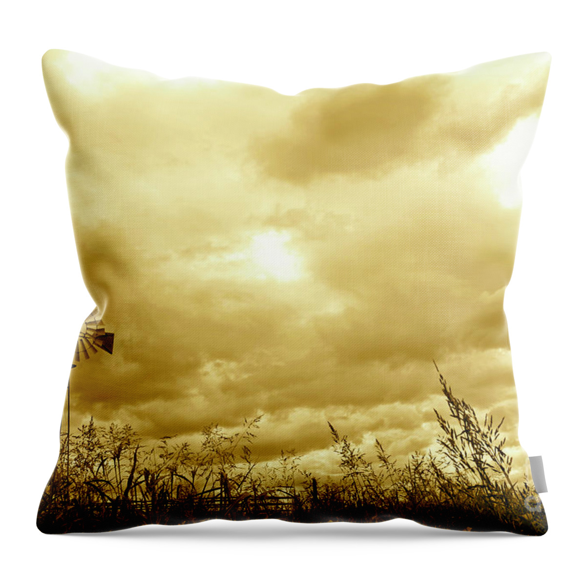 Mississippi Throw Pillow featuring the photograph Mississippi Windmill by Becqi Sherman