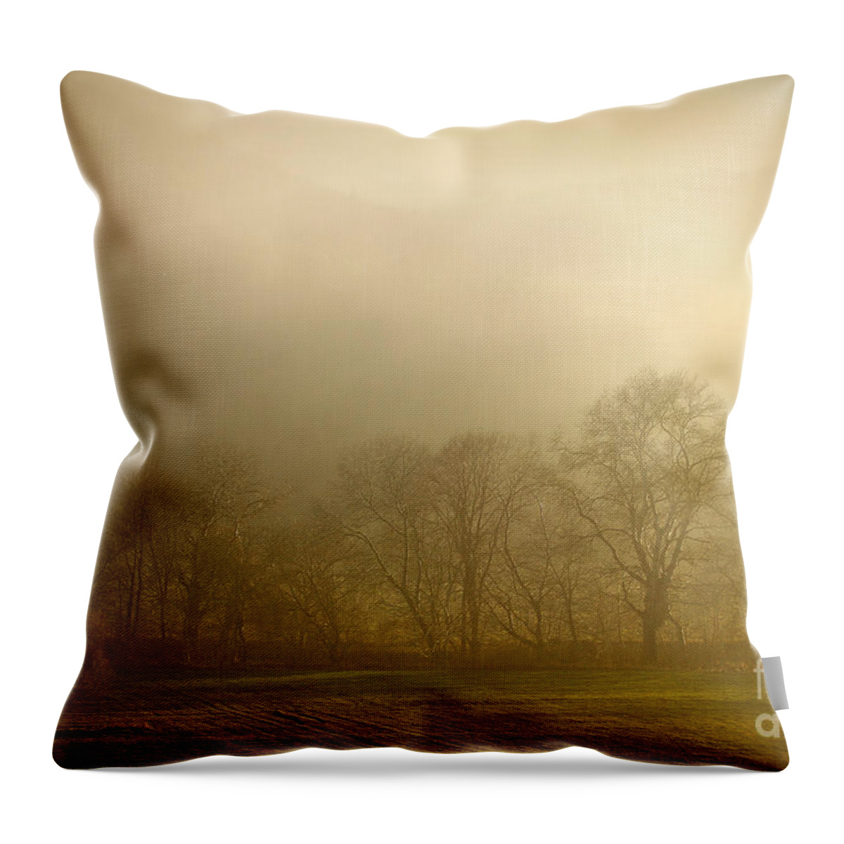 Landscape Throw Pillow featuring the photograph Mist in The Forest by Dimitar Hristov