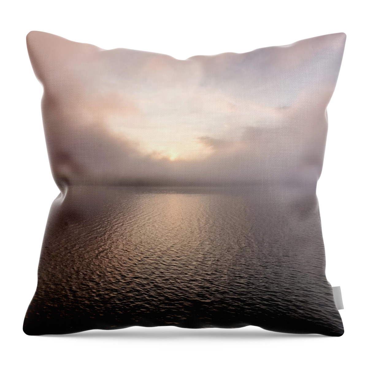 Spofford Lake New Hampshire Throw Pillow featuring the photograph Misty Morning II by Tom Singleton