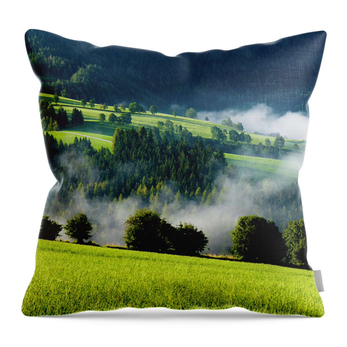 Austria Throw Pillow featuring the photograph Misty valley in Austria by Andreas Berthold