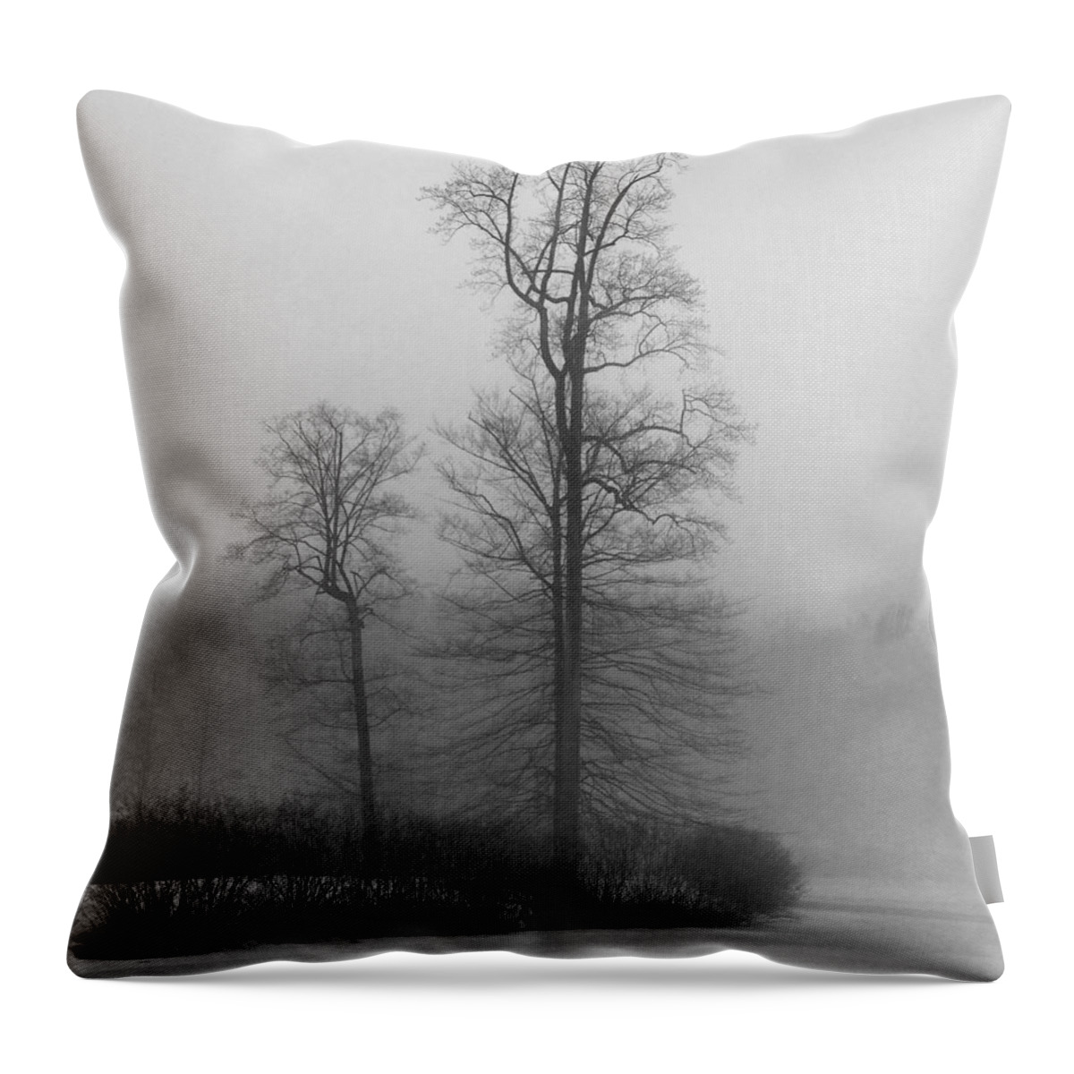 Black And White Throw Pillow featuring the photograph Misty Winter Day by GeeLeesa Productions
