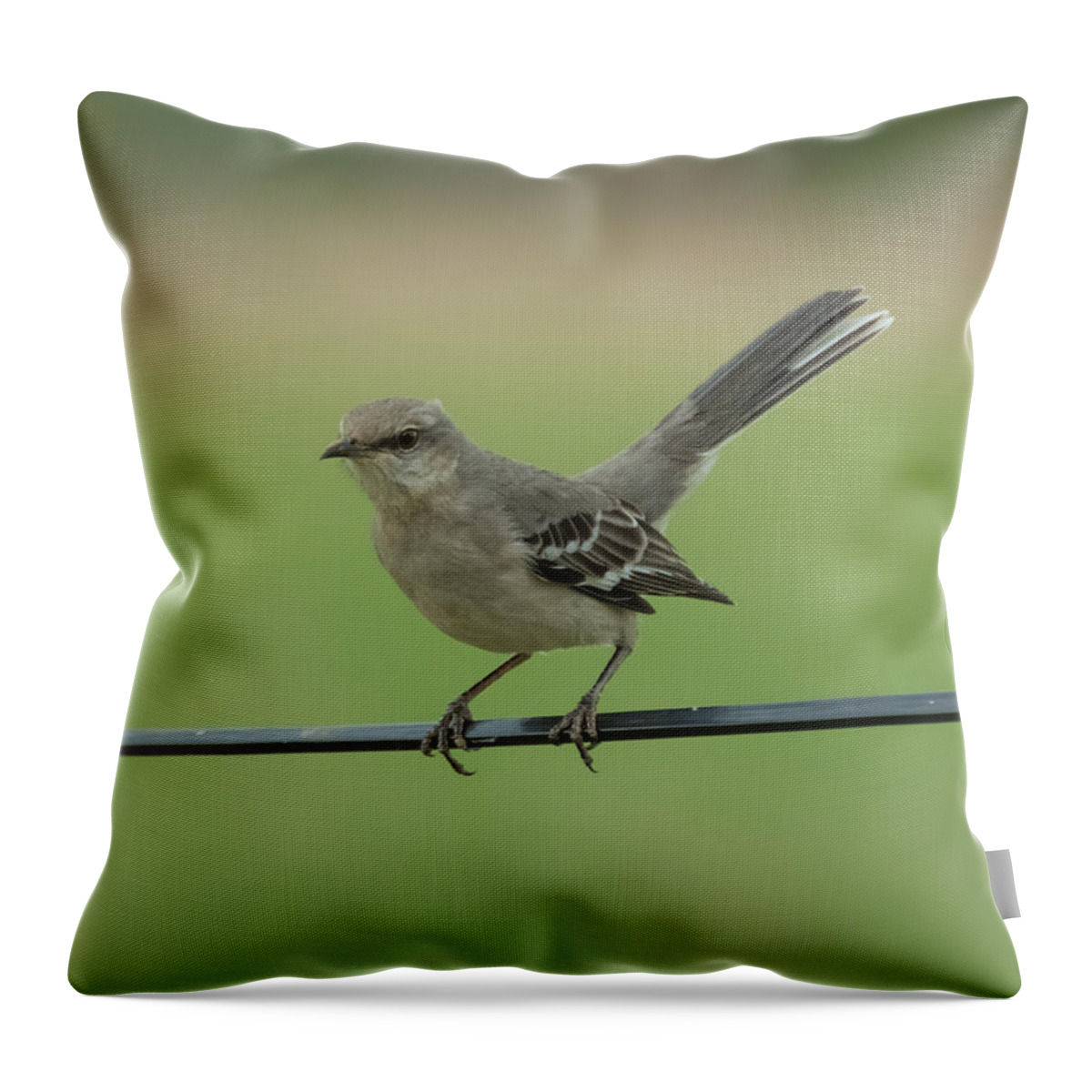 Jan Throw Pillow featuring the photograph Mockingbird by Holden The Moment