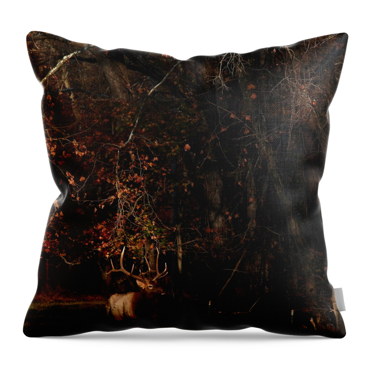 Bull Elk Throw Pillow featuring the photograph Monarch Joins the Rut by Michael Dougherty