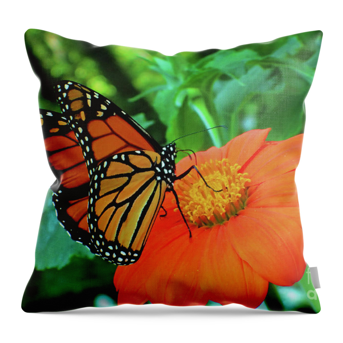 Monarch Throw Pillow featuring the photograph Monarch on Mexican Sunflower by Nicole Angell