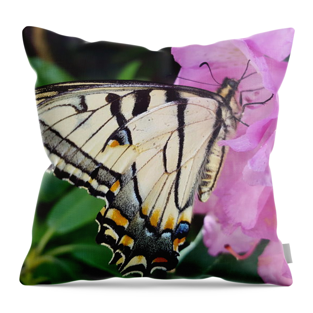 Butterfly Throw Pillow featuring the photograph Tuesday One by Dani McEvoy