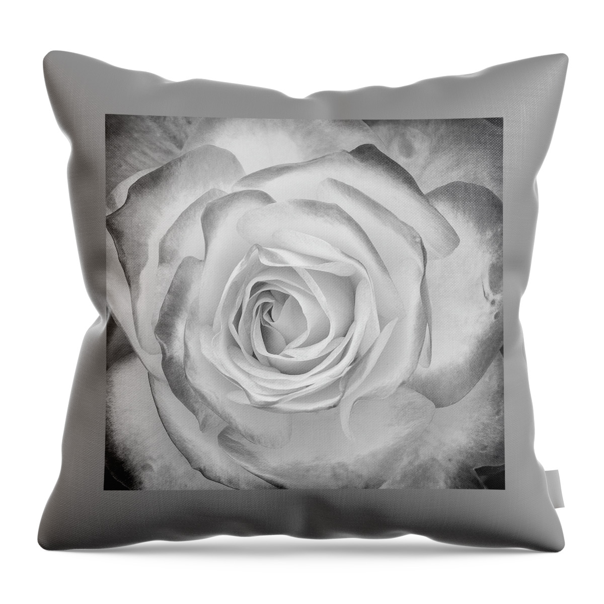 Monochrome Throw Pillow featuring the photograph Monochrome Rose by John Roach