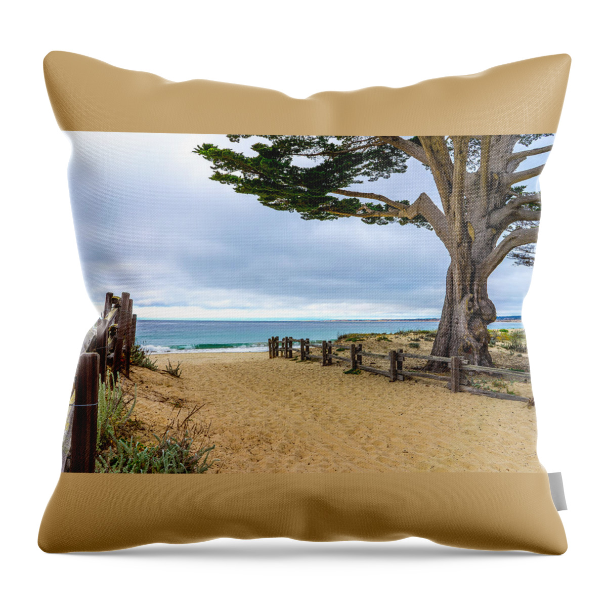 Seascape Throw Pillow featuring the photograph Monterey Day by Derek Dean