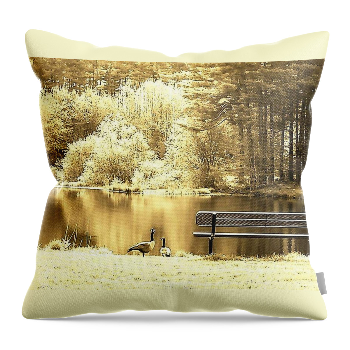 Geese Throw Pillow featuring the photograph Moods by Dani McEvoy