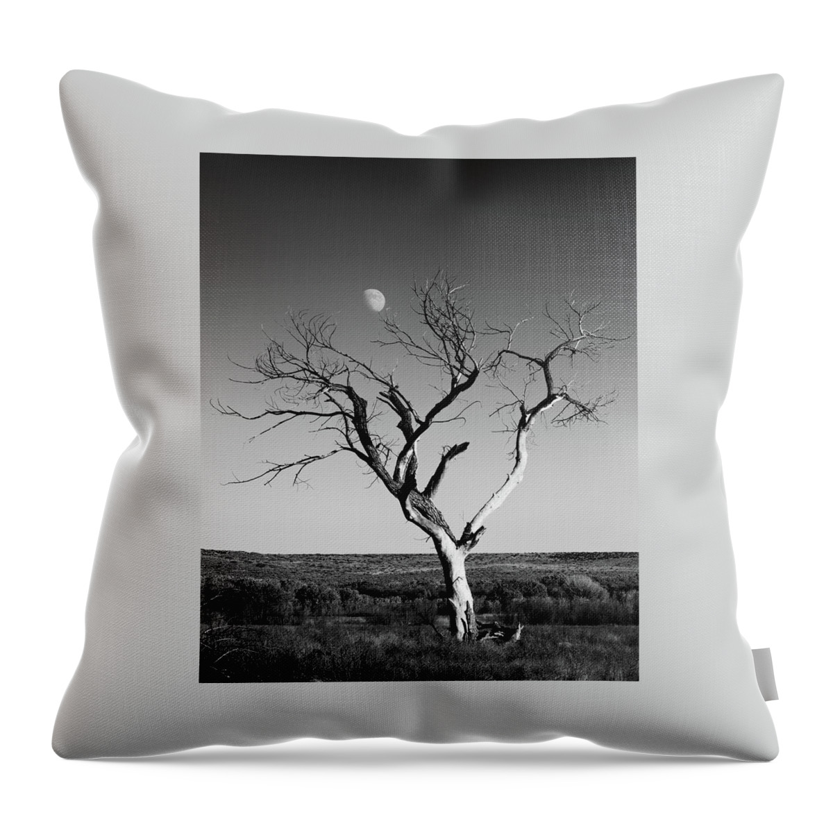 Landscapes Throw Pillow featuring the photograph Moon and Memory at Bosque del Apache N M by Mary Lee Dereske