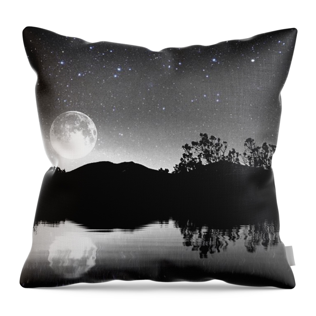 Full Moon Throw Pillow featuring the photograph Moon Dance by Brad Hodges