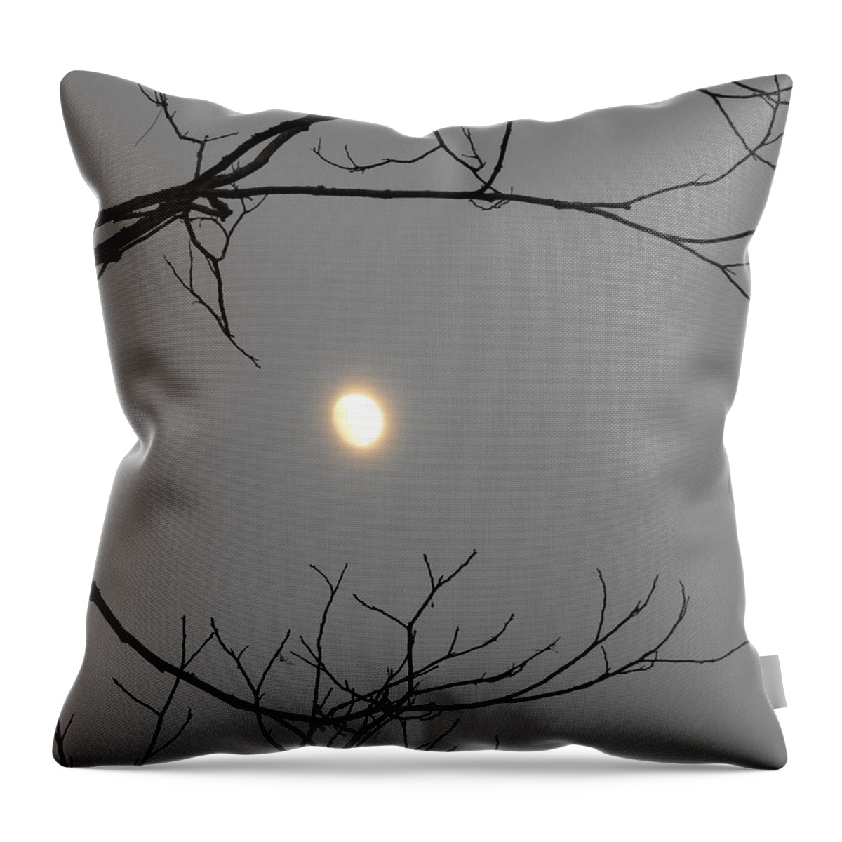 Moon Throw Pillow featuring the photograph Moon Embraced by Jan Gelders