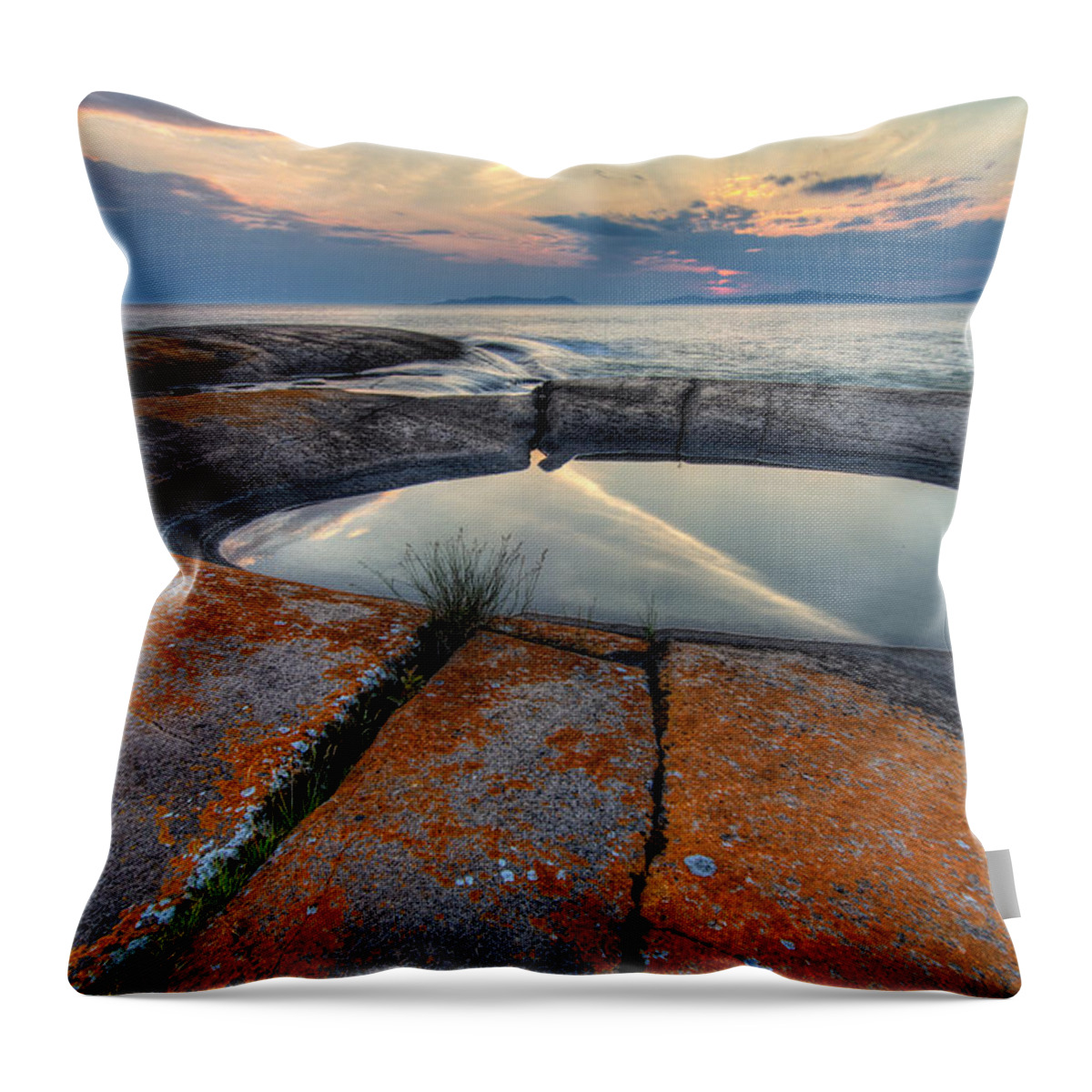 Water Throw Pillow featuring the photograph Moon Flower by Doug Gibbons
