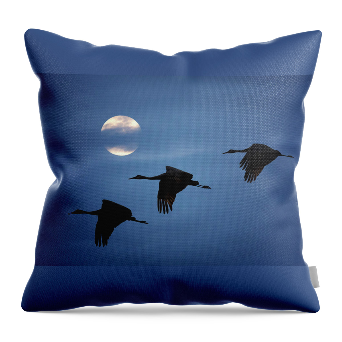 Sandhill Crane Throw Pillow featuring the photograph Moonlit Flight by Susan Rissi Tregoning