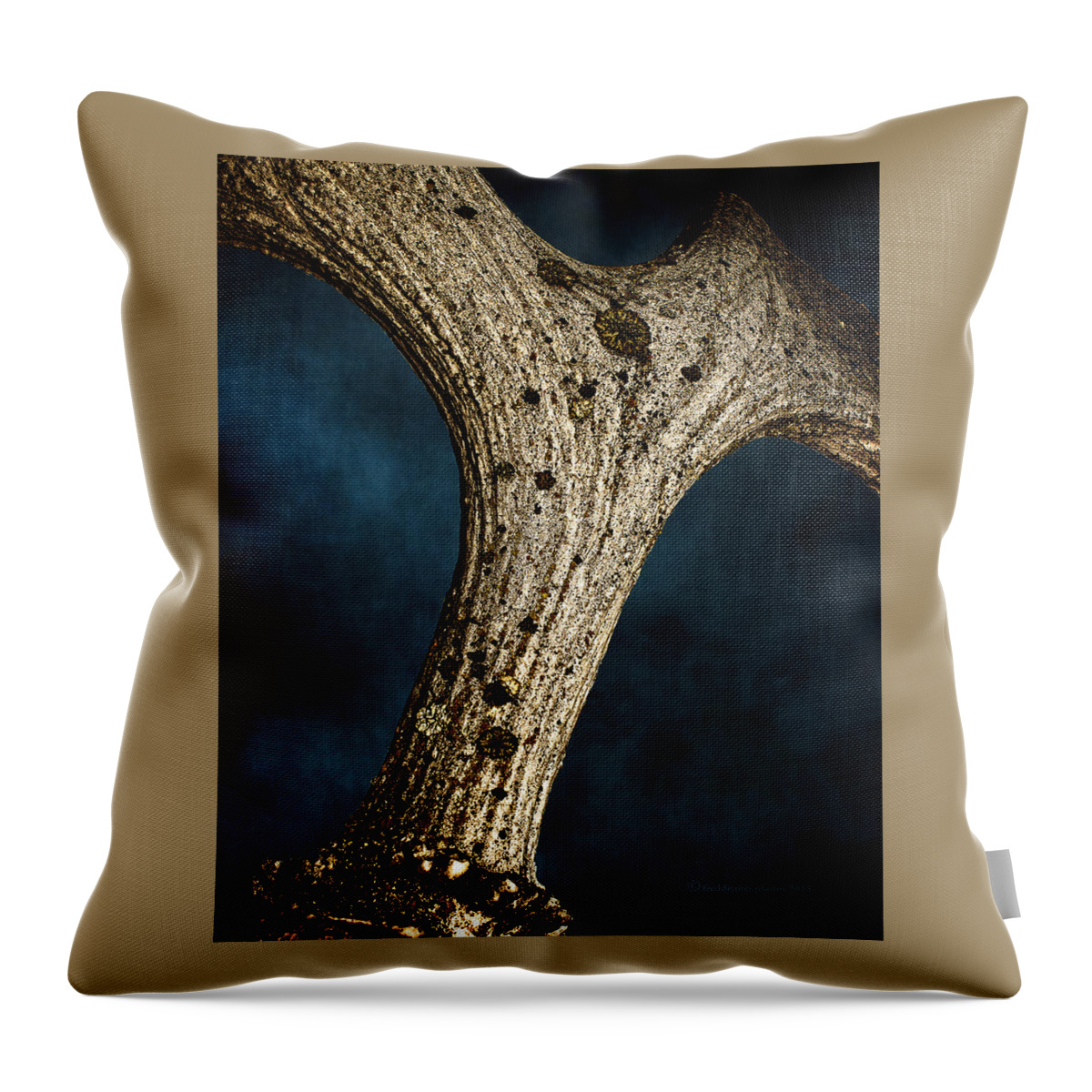 Moose Throw Pillow featuring the photograph Moose Horn Curves by Fred Denner