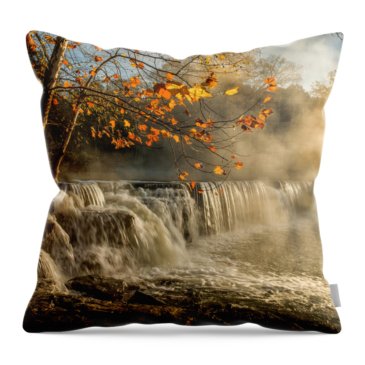 Natural Dam Throw Pillow featuring the photograph Morning Bliss by James Barber