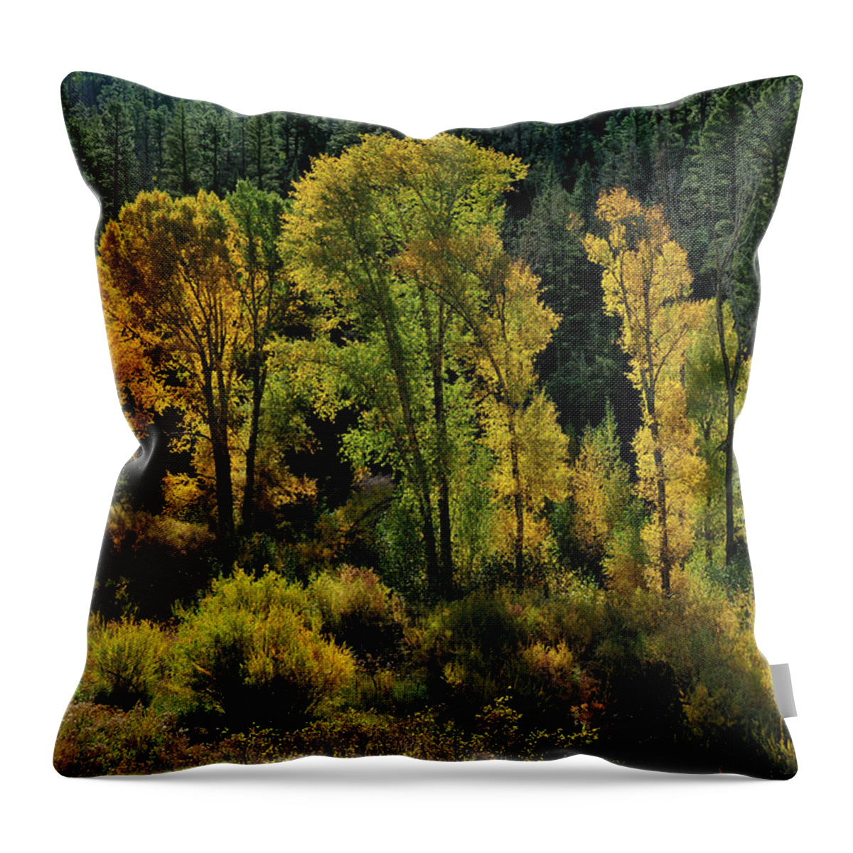 Landscape Throw Pillow featuring the photograph Morning Cottonwoods by Ron Cline