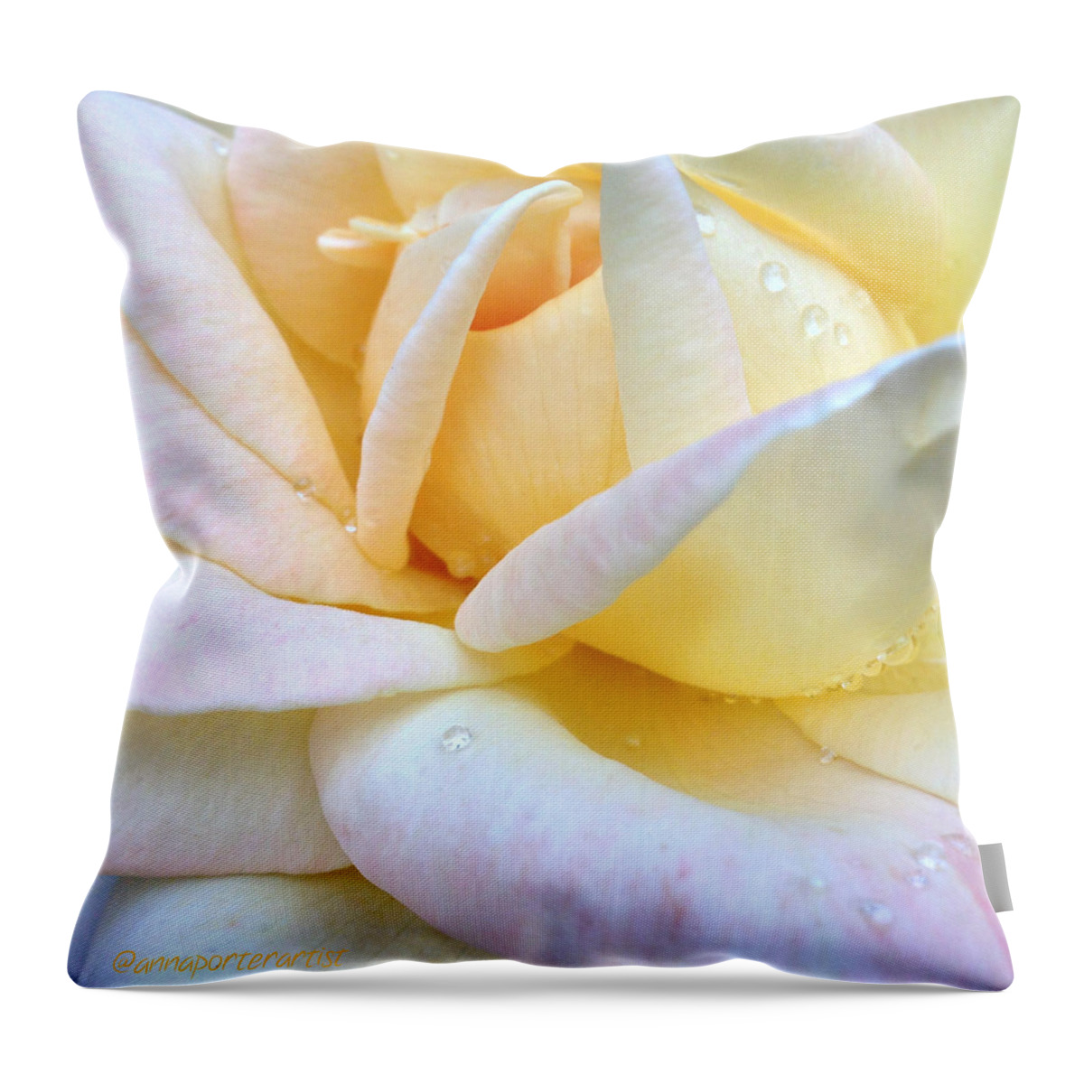 Morning Dew On A Pale Yellow Rose Throw Pillow For Sale By Anna Porter