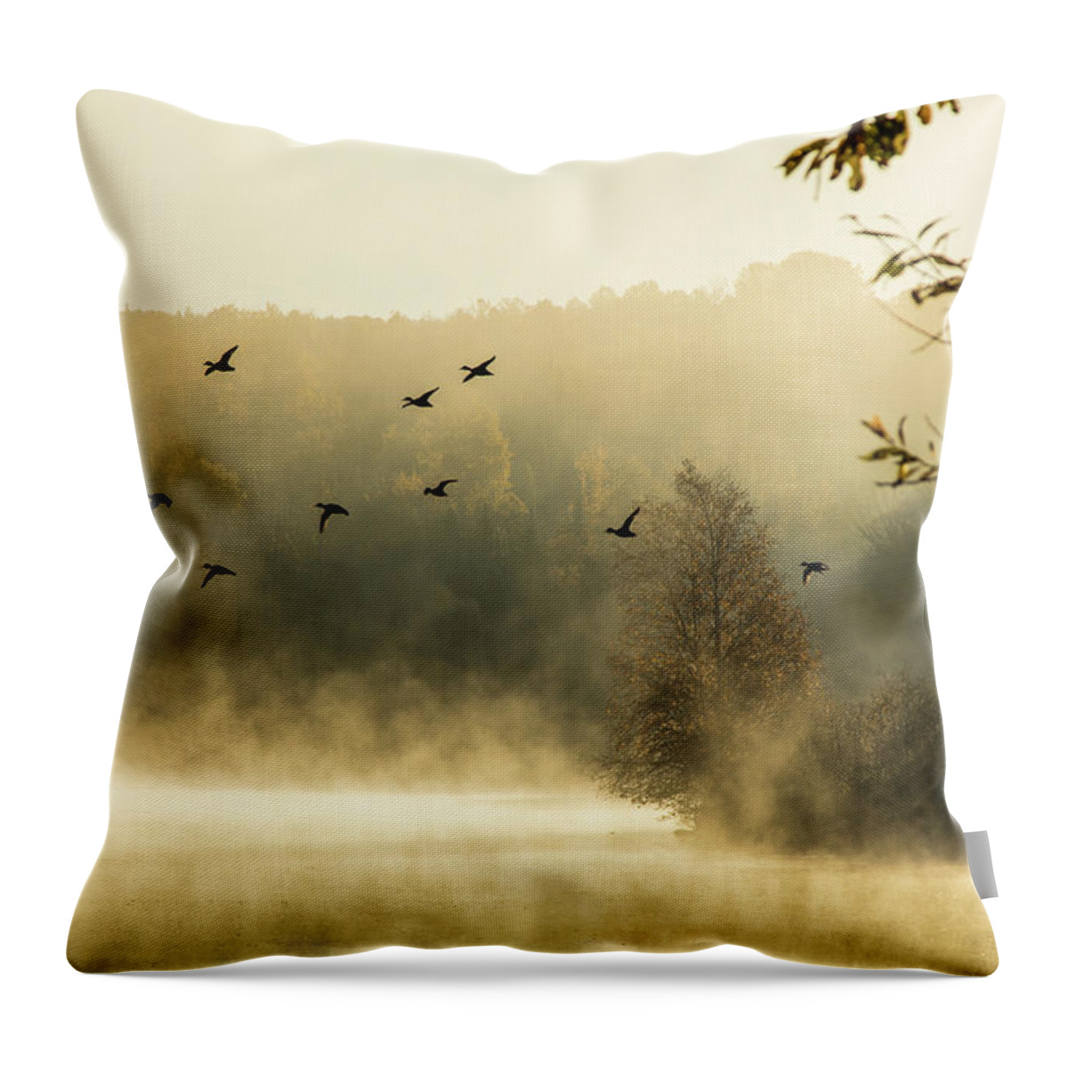 Haley Pond Throw Pillow featuring the photograph Morning fog on Haley Pond in Rangeley Maine by Jeff Folger